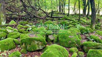 015-14-BEBRE
Ponúkame Vám EXKLUZÍVNE na predaj pozemky v roz