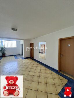 XEMAR (kristina.jurgova@xemar.sk | 0948 385 289), ponúka NA 