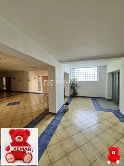 XEMAR (kristina.jurgova@xemar.sk | 0948 385 289), ponúka NA 