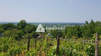 Typ: Vinice Ulica: Predné Staré Levice Obec: Levice
Ponúkame