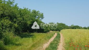 Typ: Vinice Ulica: Predné Staré Levice Obec: Levice
Ponúkame