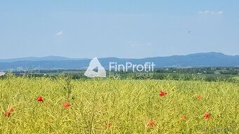 Typ: Vinice Ulica: Predné Staré Levice Obec: Levice
Ponúkame