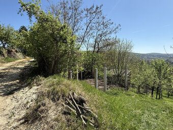 Typ: Záhrada Obec: Stupava
Ponúkame na predaj záhradu o výme