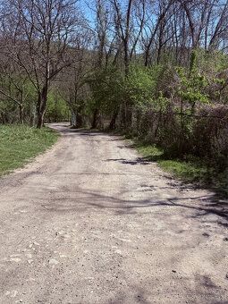 Typ: Záhrada Obec: Stupava
Ponúkame na predaj záhradu o výme