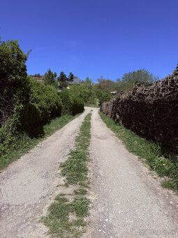 Typ: Záhrada Obec: Stupava
Ponúkame na predaj záhradu o výme