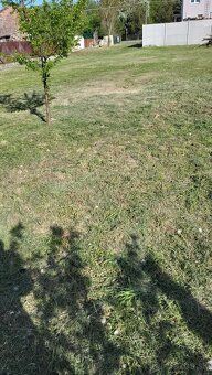 Ponúkame na predaj udržiavaný pozemok ideálny na výstavbu ro