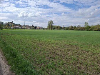 Predáme stavebný pozemok v obci Čermany o výmere 5300 m2 EKN