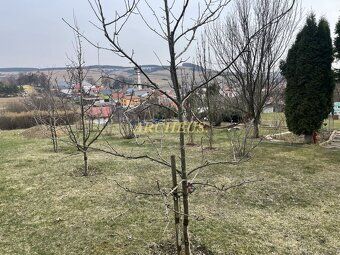 EXKLUZÍVNE / ARCHEUS reality KEŽMAROK ponúka na predaj dreve