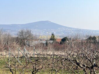 🌟Objavte svoj vlastný raj v srdci Nitry Lukratívny rodinný d