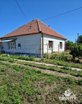 Typ: Rodinný dom Ulica: Hlavná ulica Obec: Imeľ
Ponúkame na 