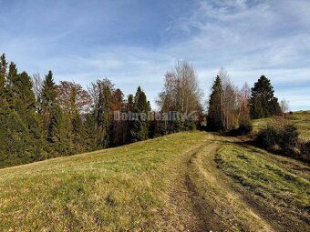 Ponúkam na predaj krásny slnečný pozemok s rozlohou 3865 m² 