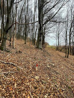 Dobrý deň,
ponúkame na predaj pozemok o výmere cca 7000m2. P