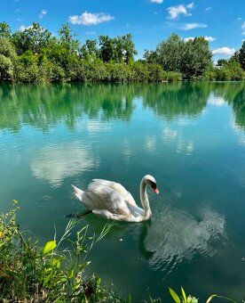 Apartmán v tesnej blízkosti wellness a kúpaliska. Výhodná in