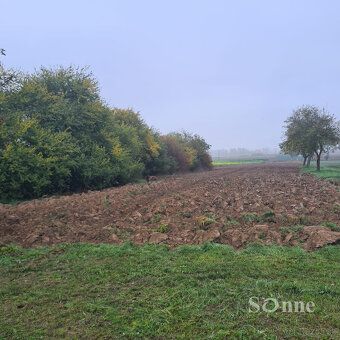 Typ: Stavebný pozemok Ulica: Egreš Obec: Egreš
Pozemok v zas