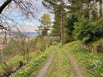 Realitná kancelária HALO reality a Marcela Bazalová, kontakt