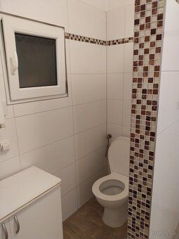 Ponúkam na prenájom priestranný 2 izbovy byt v centre mesta(