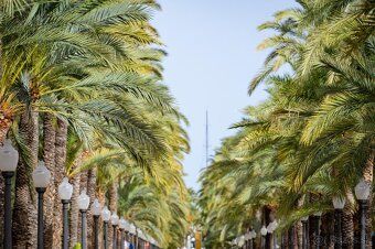 Luxusná vila pri mori | Costa Blanca, Španielsko Predstavuje