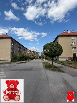 XEMAR (monika.hlivova@xemar.sk alebo 0907 569 789), ponúka n