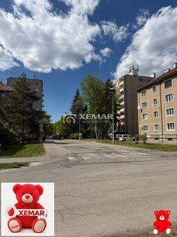 XEMAR (monika.hlivova@xemar.sk alebo 0907 569 789), ponúka n
