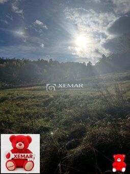 XEMAR (erika.hudecova@xemar.sk alebo 0907 925 099), ponúka n