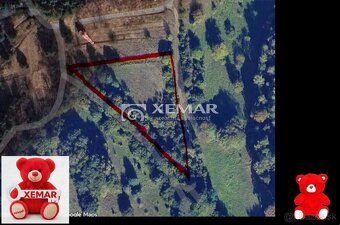 XEMAR (erika.hudecova@xemar.sk alebo 0907 925 099), ponúka n