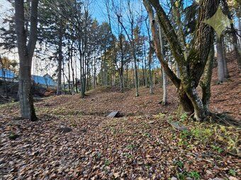 Unikátny pozemok 2,8 ha v UNESCO zóne – Štiavnické Bane (Ric