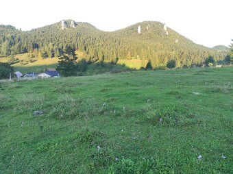 Ponúkame na predaj pozemok s výmerou 2098 m², nachádzajúci s