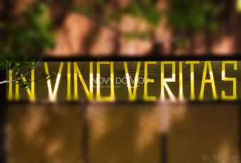 NA PREDAJ – vinohrad v srdci Strekova (Slovenské Toskánsko)
