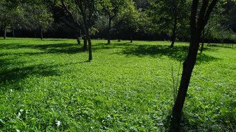Typ: Záhrada Ulica: Mirkovce Obec: Prešov
Ponúkame na predaj