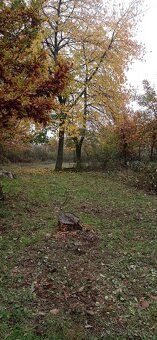 Ponukam na predaj 3 pozemky nachadzajuce sa v Pukanci okr. L