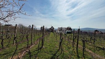 F428-13-MAT3a
Na predaj pivničný dom v obci Jelenec, v okres