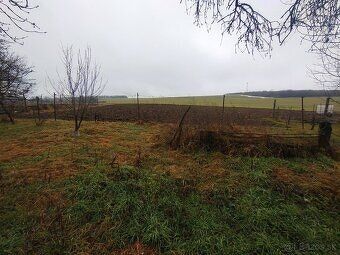 Predám 5 izbový RD v obci Dedinka Zastavaná plocha 896m2 orn