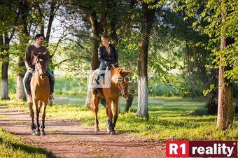 Aktuálna 092025 ponuka voľných nehnuteľností na najlepšej ad