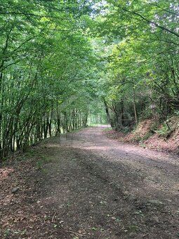 Hľadáte príjemné, pokojné miesto na výstavbu chaty alebo cha