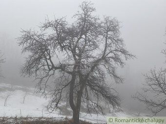 Ponúkame na predaj krásny veľký pozemok o výmere 2963m2. Poz