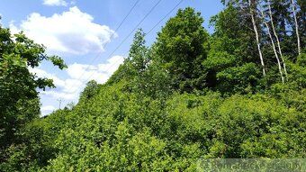 Rekreačný pozemok nad obcou Kolárovice. Ideálny na relax a o