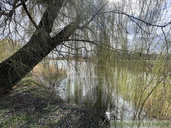 Stavebný pozemok v obci Selice, ktorý sa nachádza v tesnej b