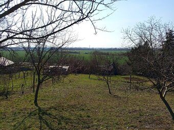 Predaj viničného domu s veľkým pozemkom – Levice (okrajová č