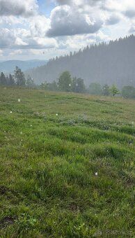 POZEMOK v Celosti 67 000m2, Potok, Elektrika, Stavebné Povol