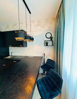 Ponúkame Vám na prenájom nový nadštandardný 1-izbový apartmá