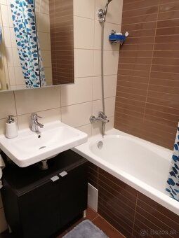 Prenajmem veľký jednoizbový byt (49m2) s balkónom (7m2) a pi