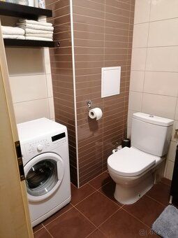 Prenajmem veľký jednoizbový byt (49m2) s balkónom (7m2) a pi