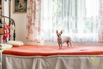 Ponúkame exkluzívne na predaj rodinný dom v meste Nová Baňa,