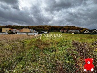 XEMAR (erika.hudecova@xemar.sk alebo 0907 925 099), ponúka n