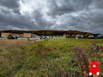 XEMAR (erika.hudecova@xemar.sk alebo 0907 925 099), ponúka n
