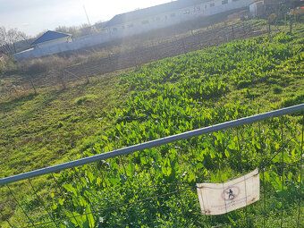 Pedam pozemok v Tomášikove,630m2 ,Inžinierske siete pri poze