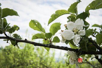 Stavebný pozemok na predaj – Horná Lehota (Nízke Tatry)
Ponú