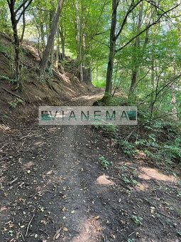 Exkluzívne ponúkame na predaj rekreačné pozemky o celkovej v