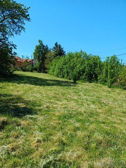 Predám pozemok v obci Janík Rozloha: 3 646 m² (intravilan) V
