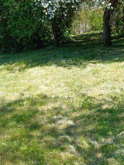 Predám pozemok v obci Janík Rozloha: 3 646 m² (intravilan) V